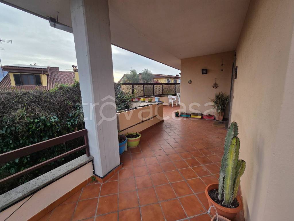 immagine annuncio 14 di 15