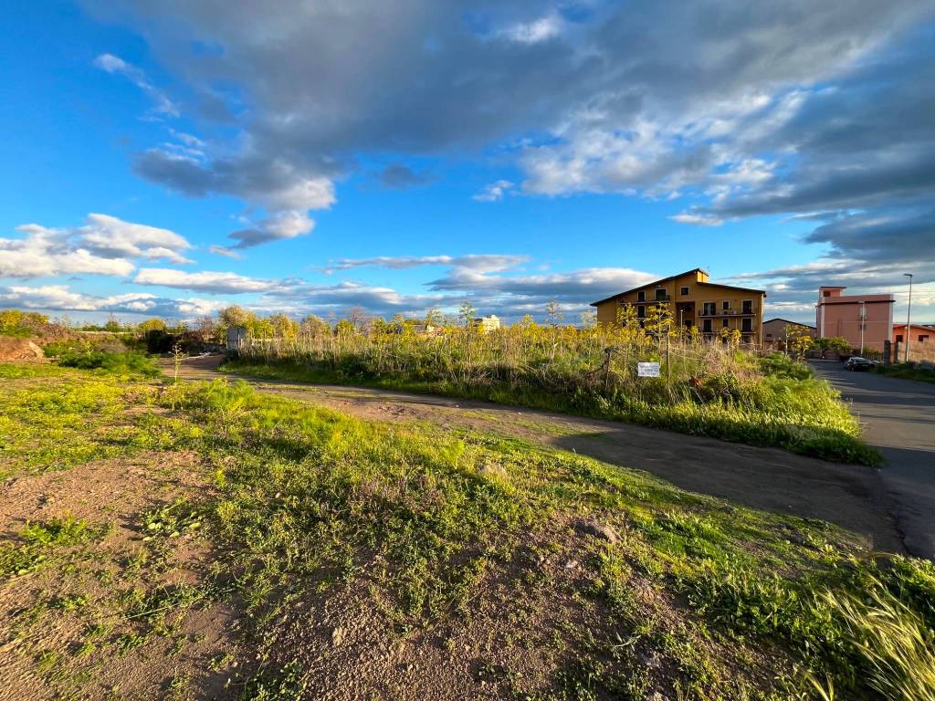 immagine annuncio 2 di 8