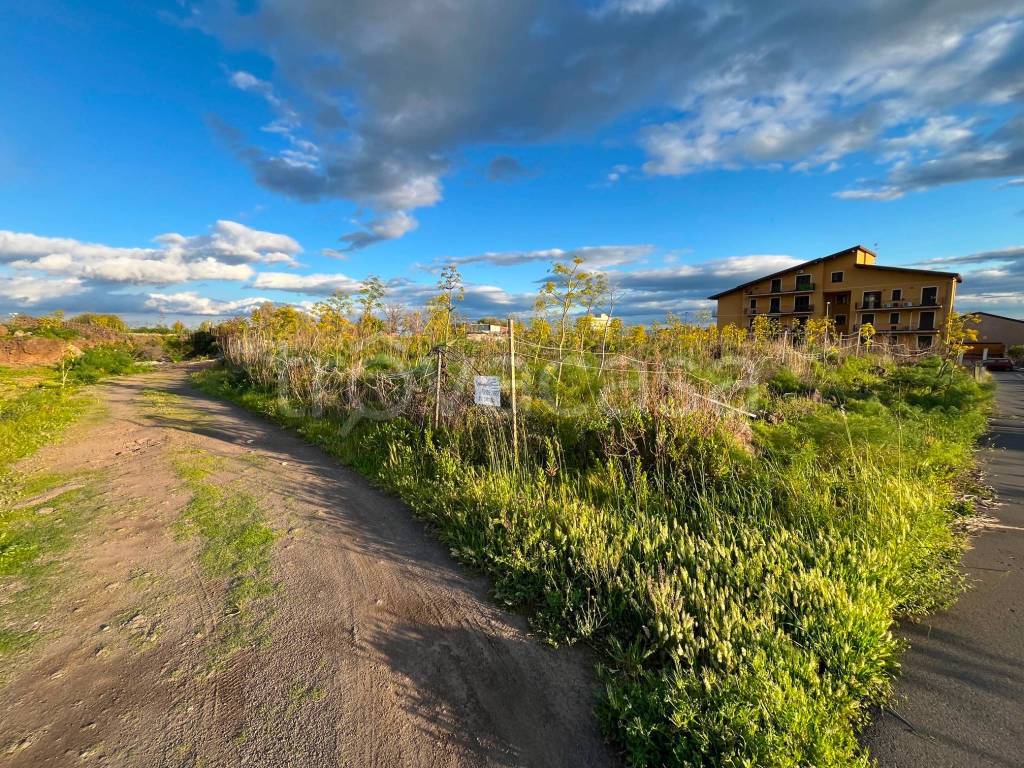 immagine annuncio 3 di 8