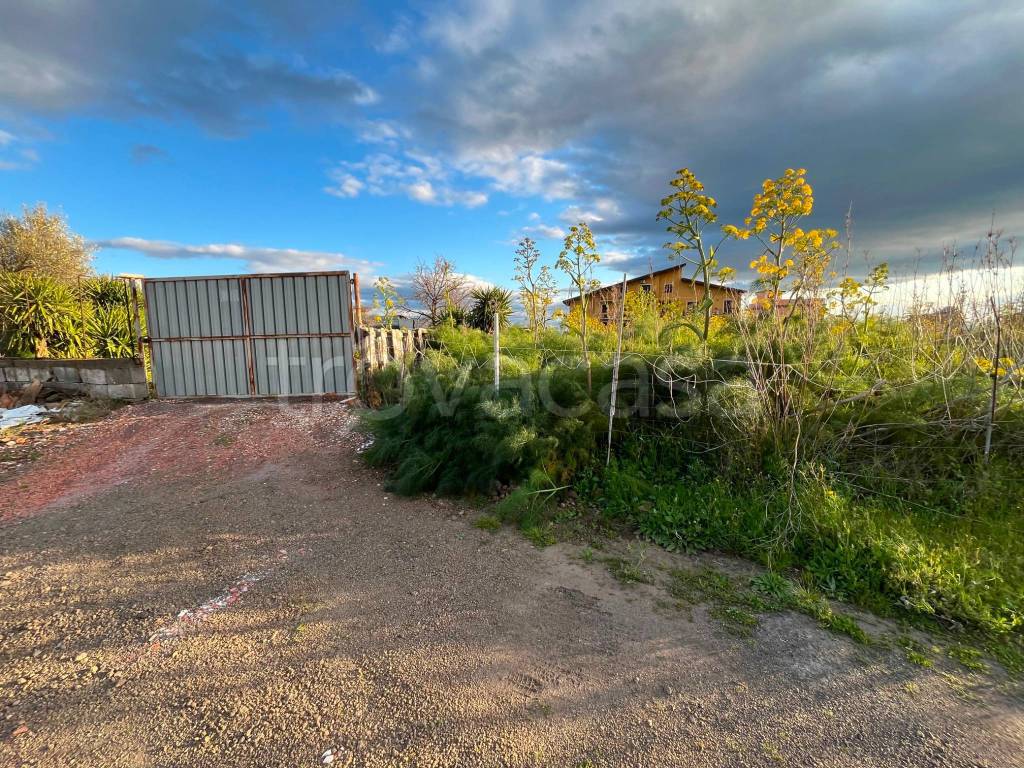 immagine annuncio 7 di 8