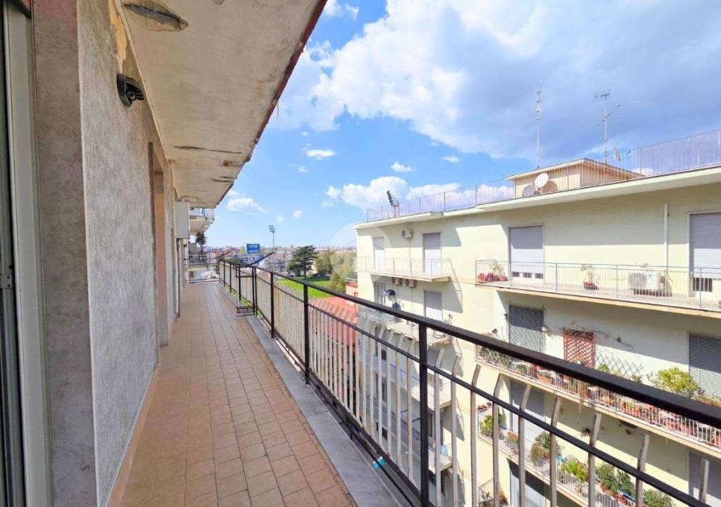 immagine annuncio 6 di 14