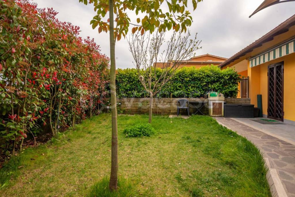 immagine annuncio 3 di 15