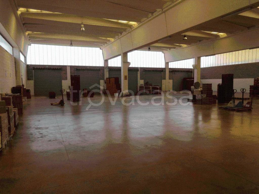 immagine annuncio 2 di 14