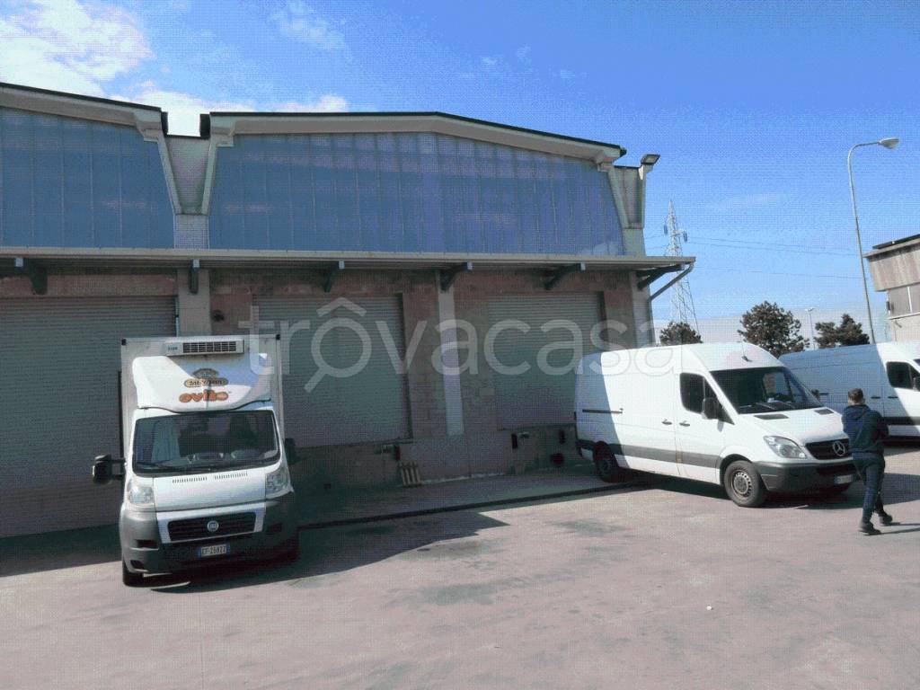 immagine annuncio 4 di 14