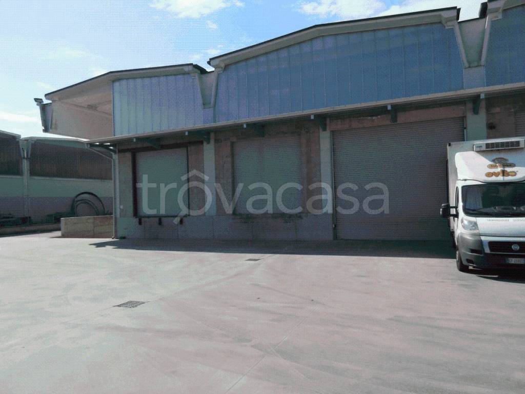 immagine annuncio 5 di 14