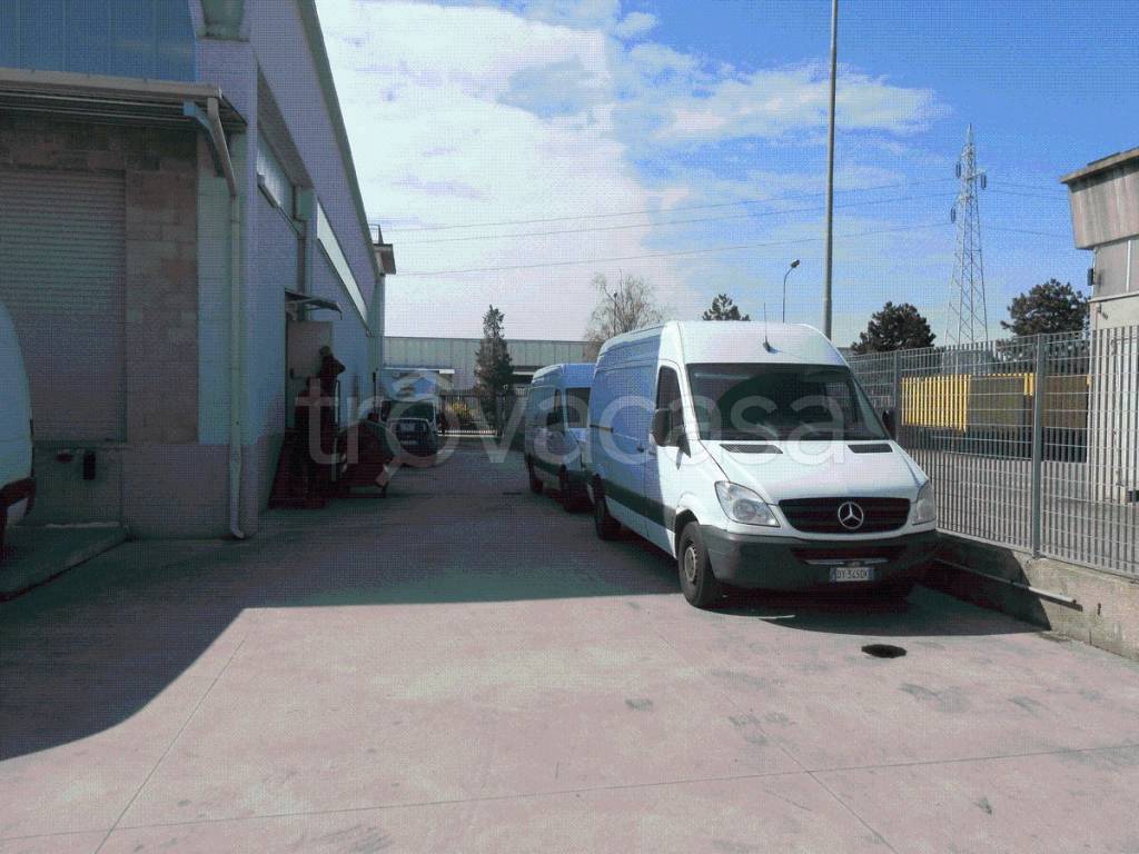 immagine annuncio 6 di 14