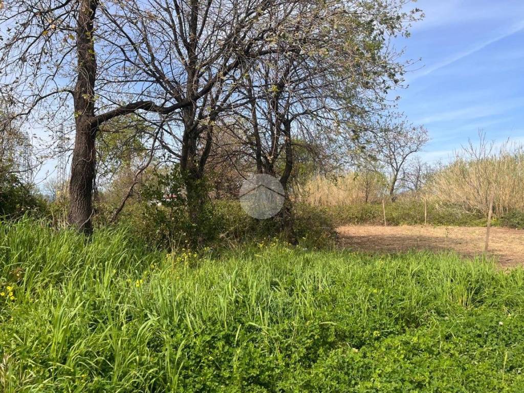 immagine annuncio 5 di 11