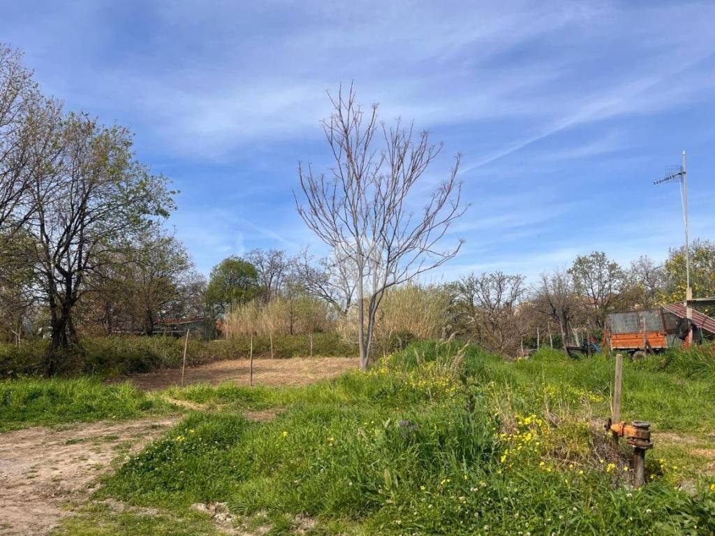 immagine annuncio 6 di 11