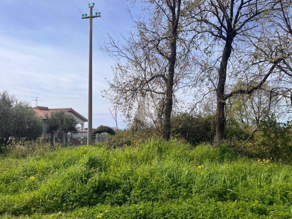 immagine annuncio 7 di 11