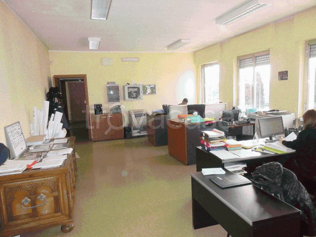 immagine annuncio 9 di 14