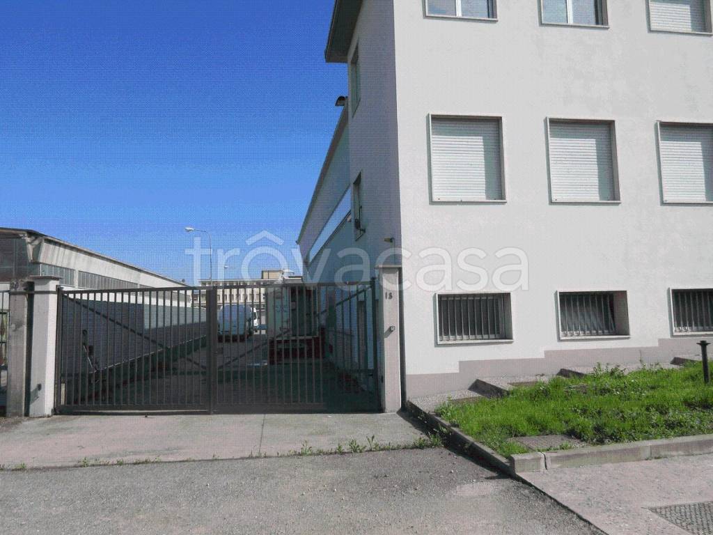 immagine annuncio 12 di 14