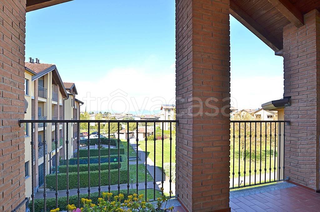 immagine annuncio 12 di 15