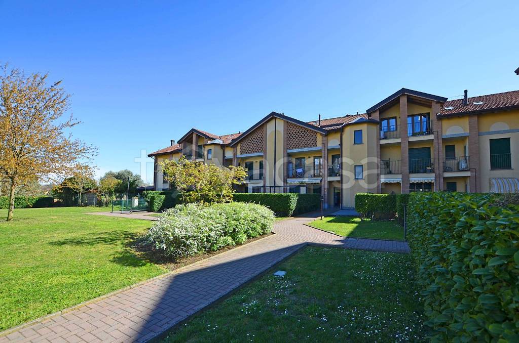 immagine annuncio 4 di 15