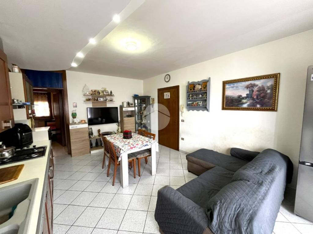 immagine annuncio 3 di 13