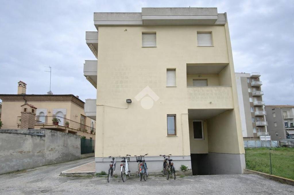 immagine annuncio 12 di 14