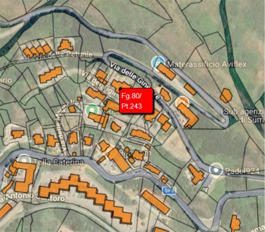 immagine annuncio 11 di 13