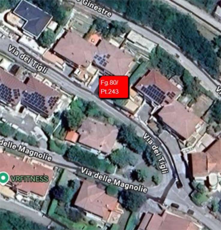 immagine annuncio 12 di 13