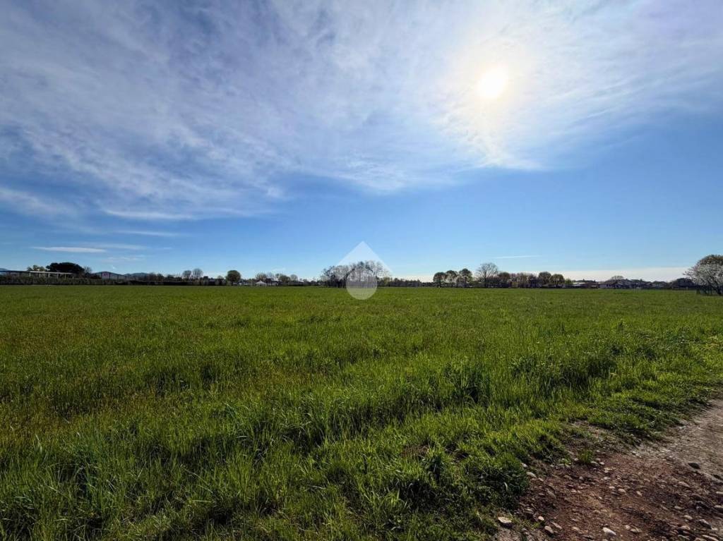 immagine annuncio 3 di 7