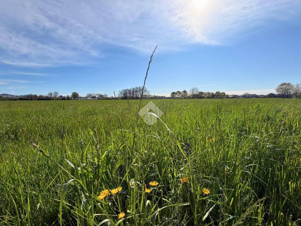 immagine annuncio 4 di 7