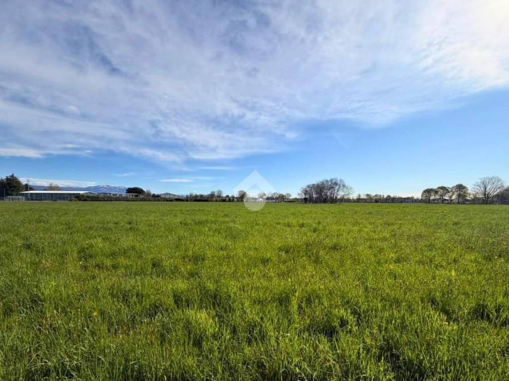 immagine annuncio 3 di 7