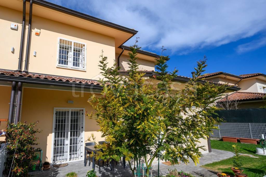 immagine annuncio 5 di 15