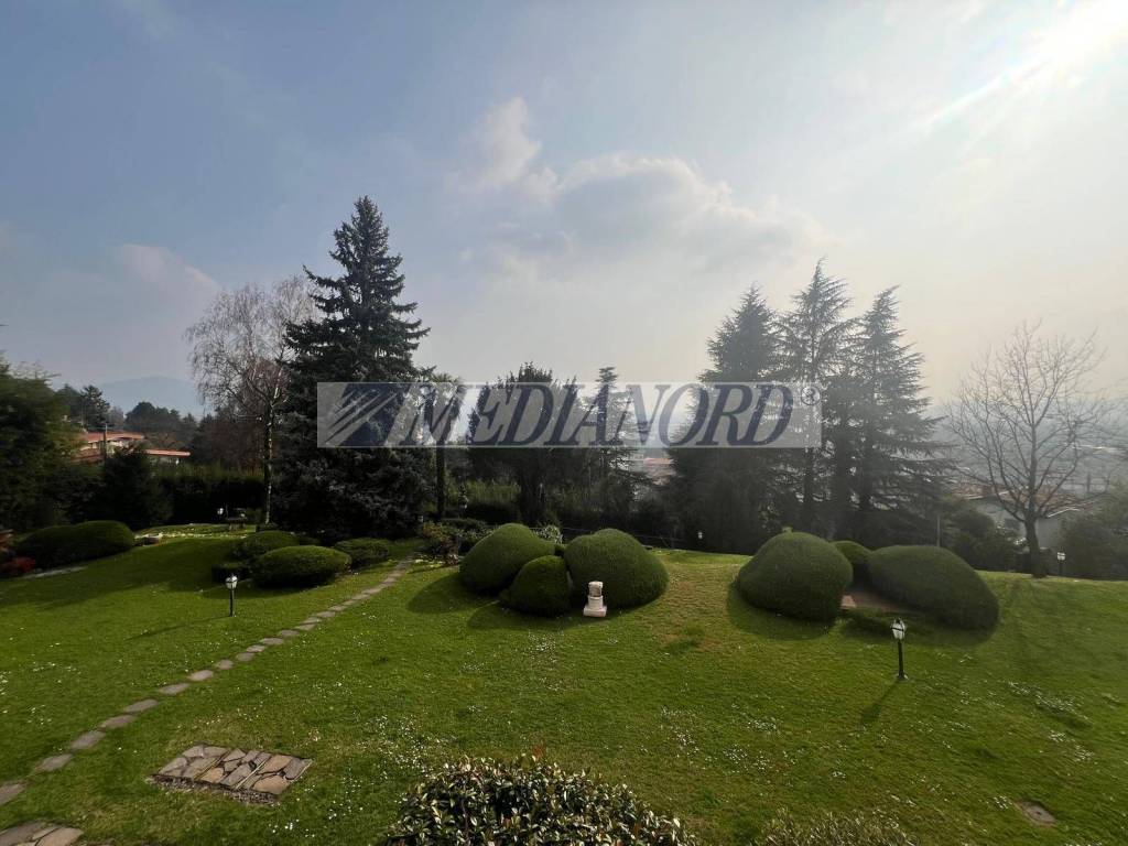 immagine annuncio 11 di 14