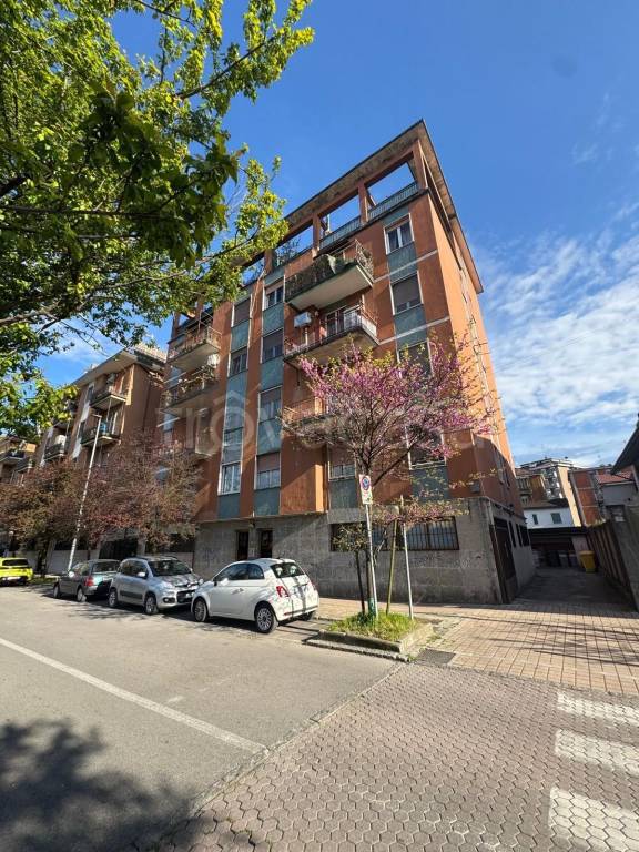 immagine annuncio 10 di 12