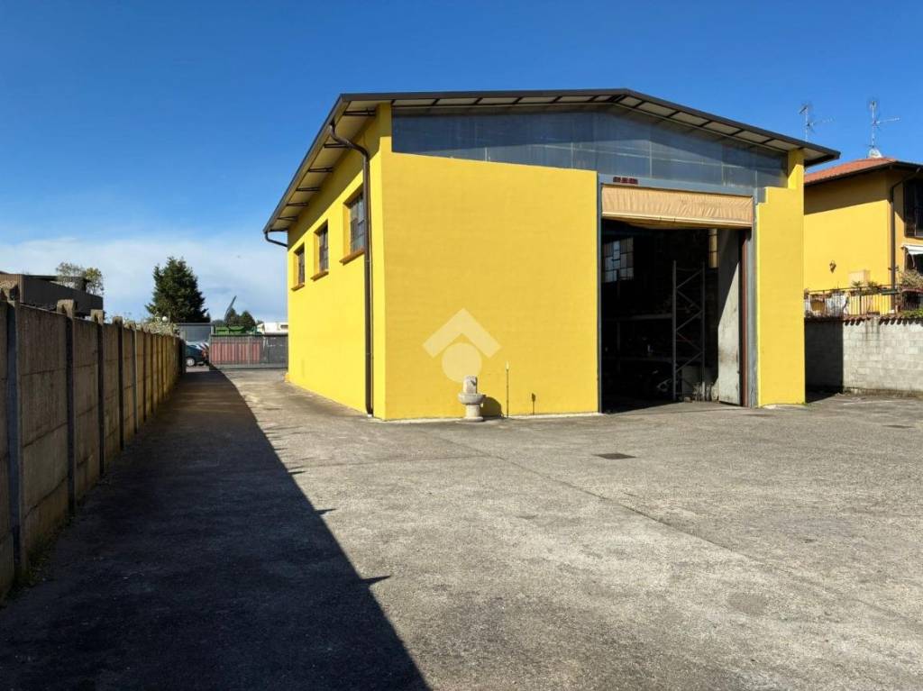 immagine annuncio 6 di 11