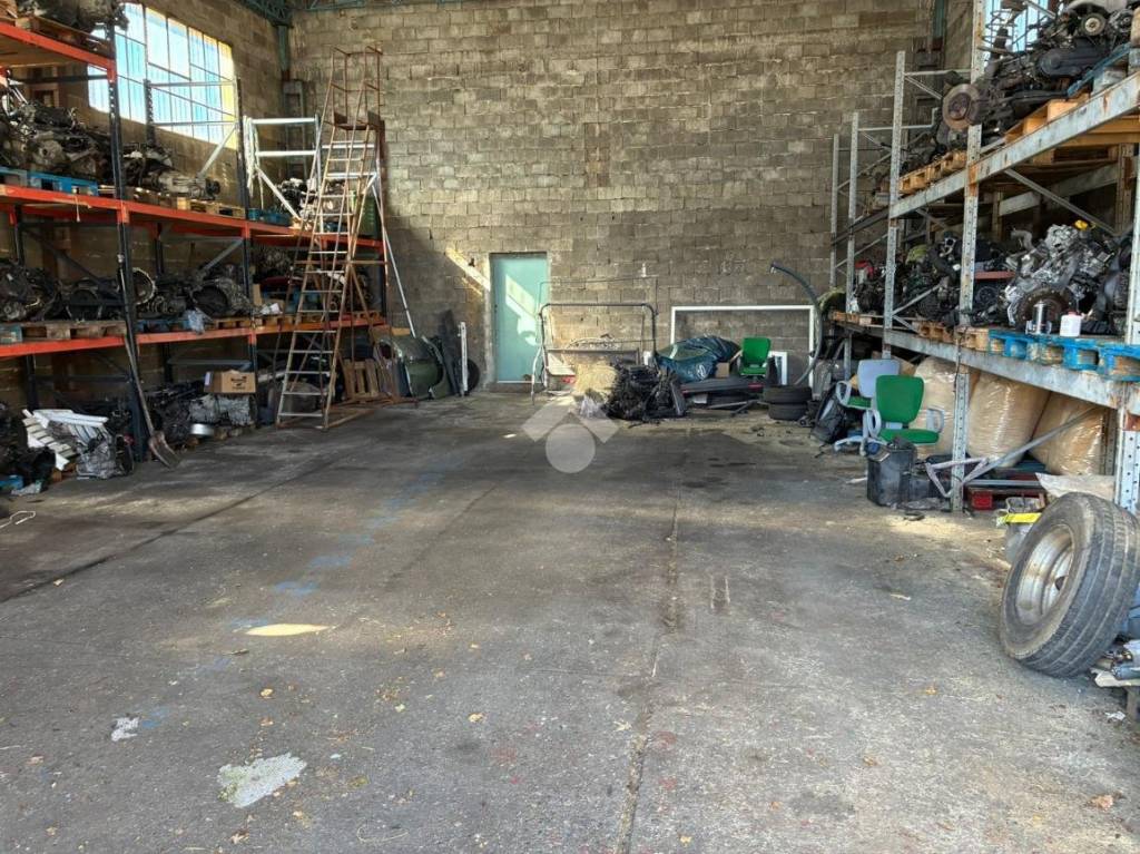 immagine annuncio 8 di 11