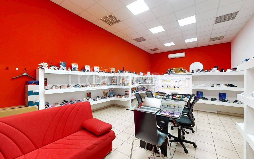 immagine annuncio 3 di 13