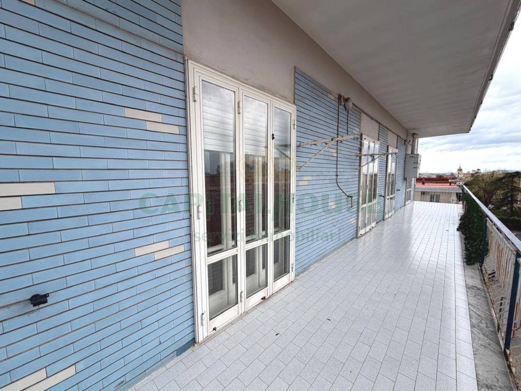 immagine annuncio 10 di 12