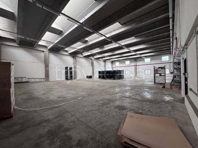 immagine annuncio 9 di 14