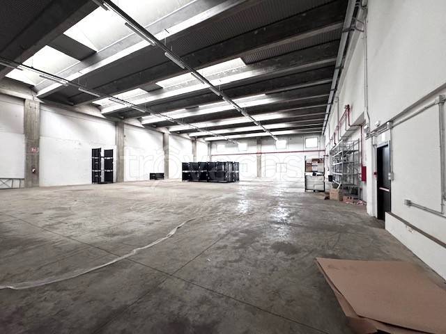 immagine annuncio 10 di 14