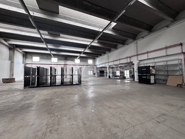 immagine annuncio 11 di 14