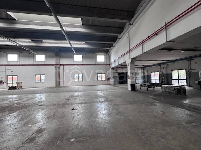 immagine annuncio 12 di 14