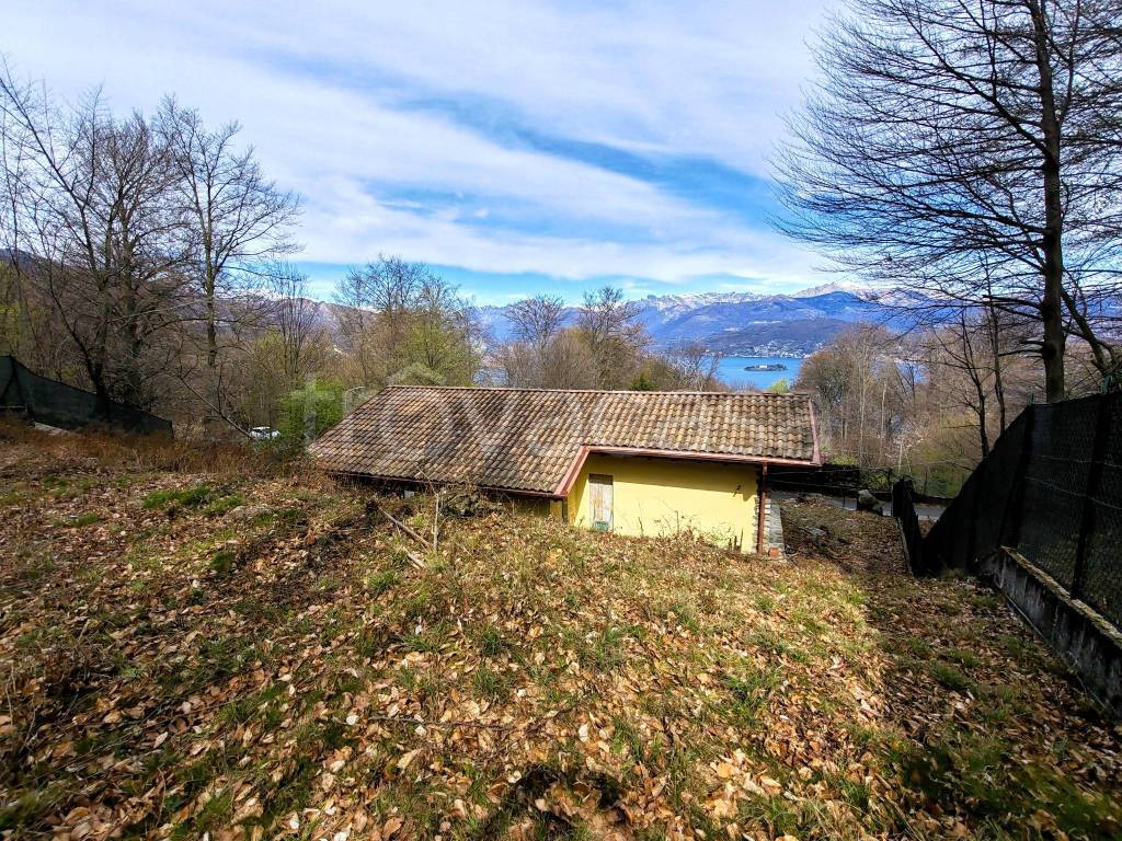 immagine annuncio 1 di 13