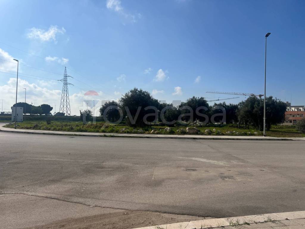 immagine annuncio 4 di 8