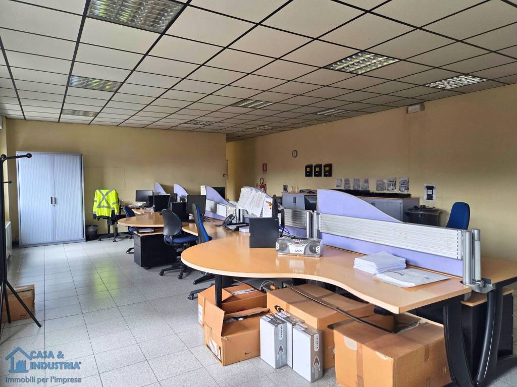 immagine annuncio 9 di 15