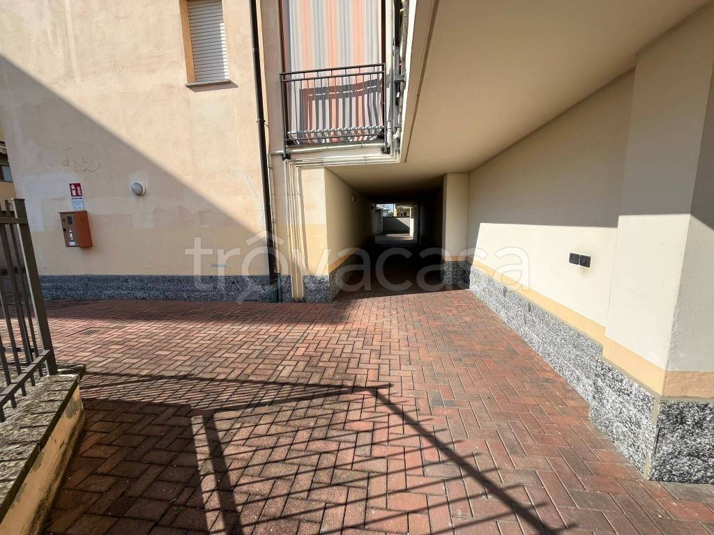 immagine annuncio 2 di 14