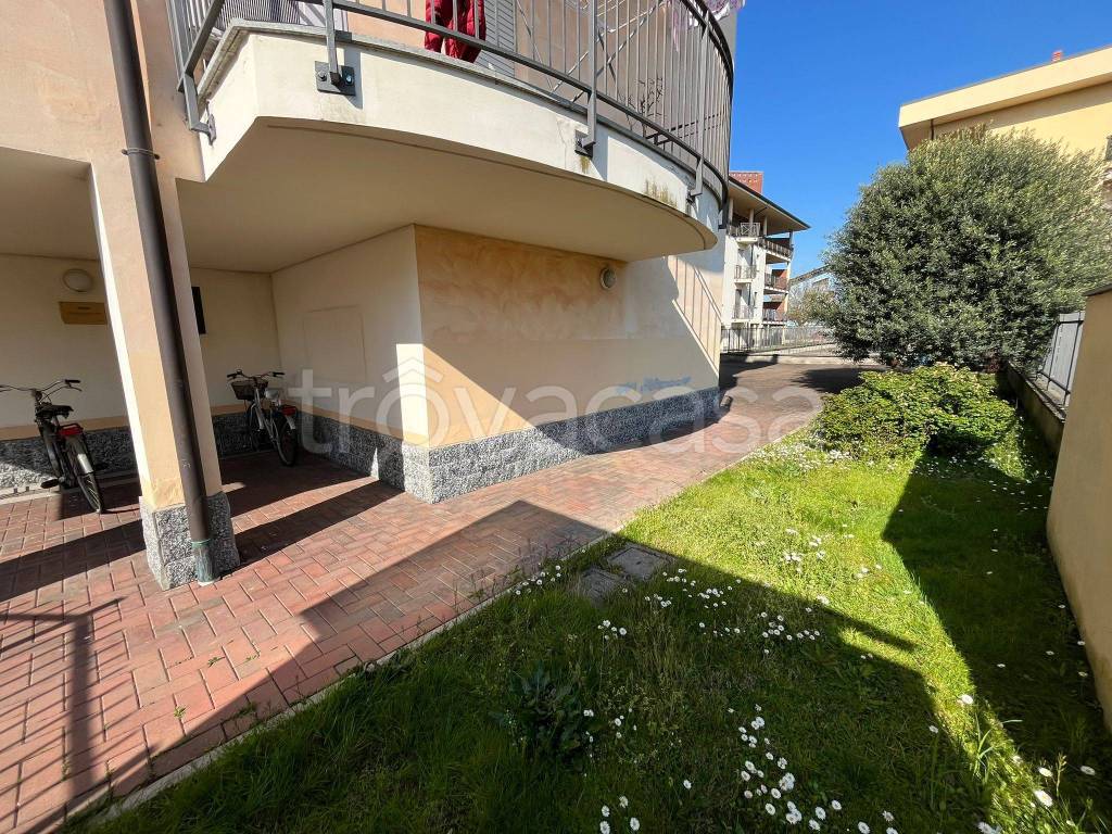 immagine annuncio 1 di 14