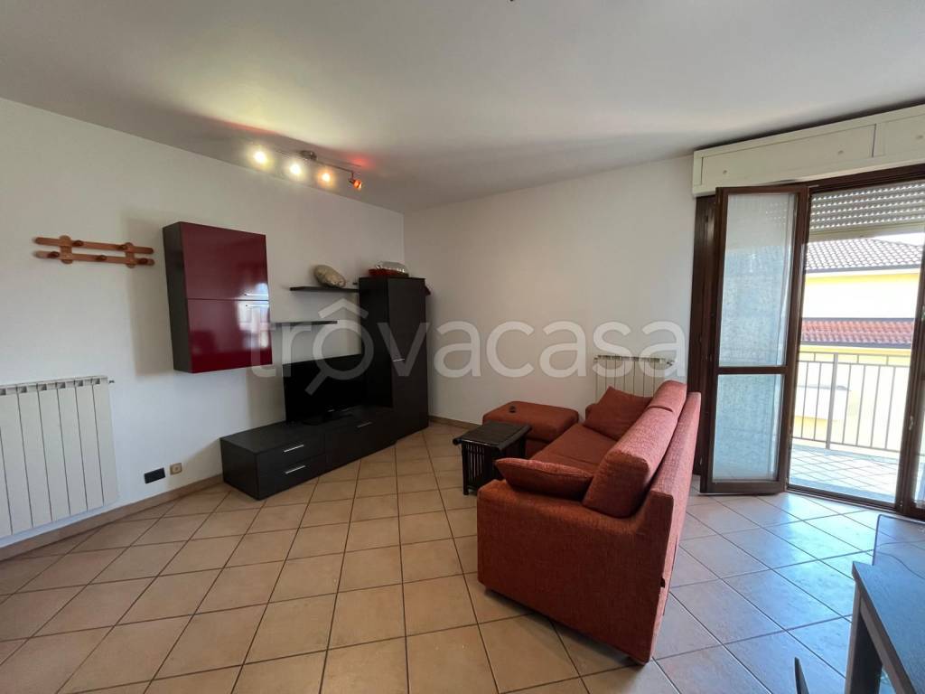 immagine annuncio 11 di 14