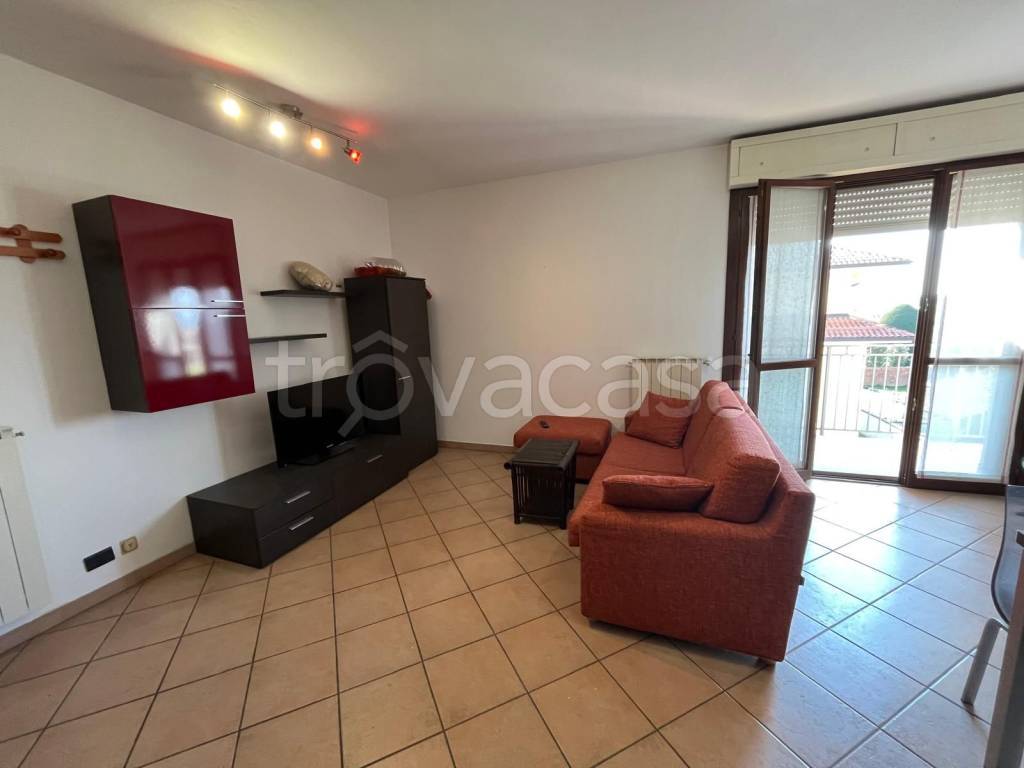 immagine annuncio 12 di 14