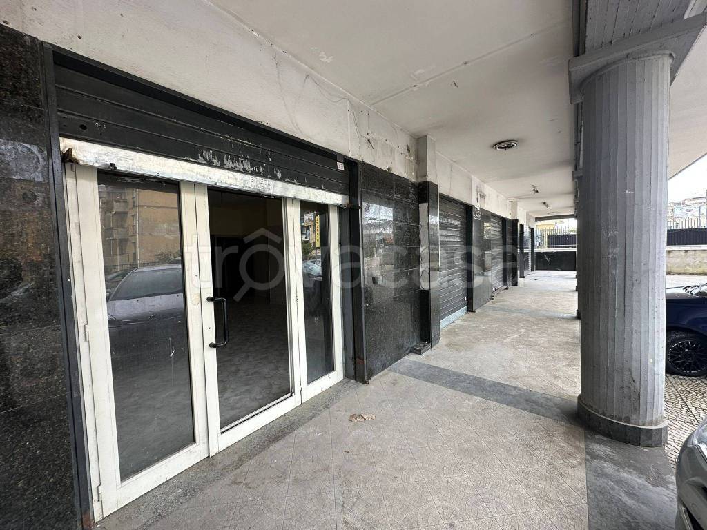 immagine annuncio 10 di 13