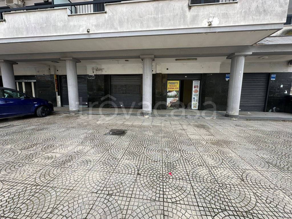 immagine annuncio 12 di 13