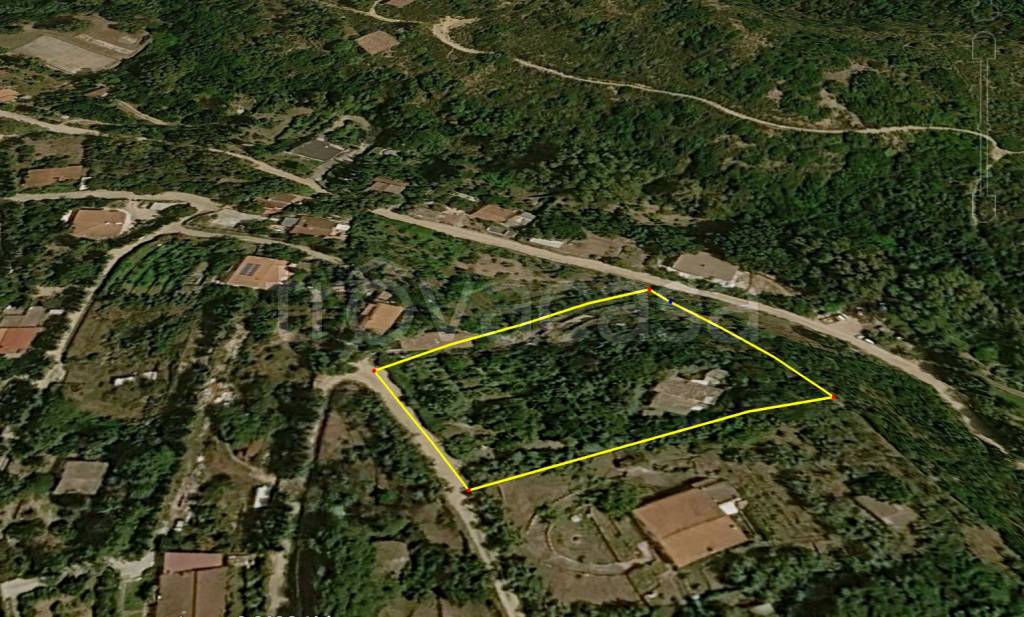 immagine annuncio 5 di 7