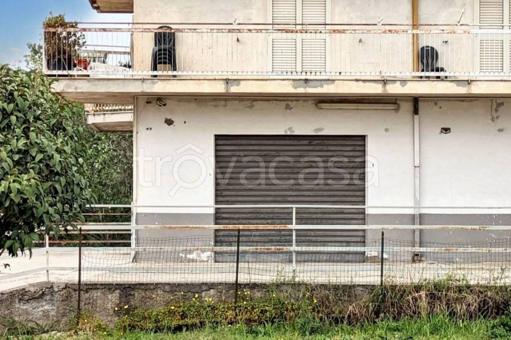 immagine annuncio 12 di 14