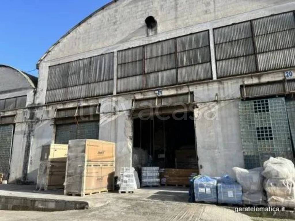 immagine annuncio 5 di 10