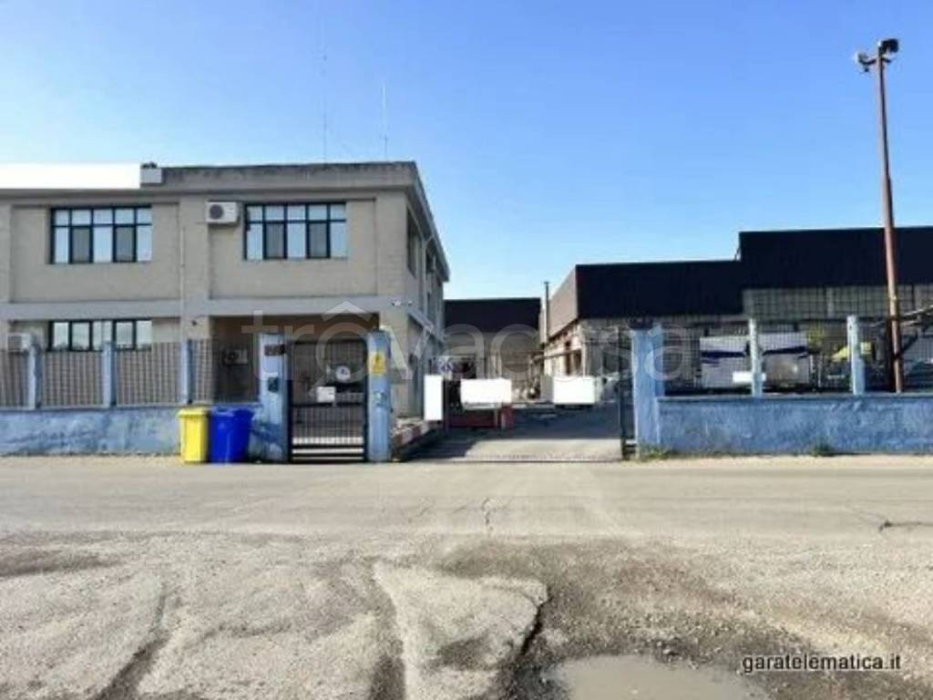 immagine annuncio 6 di 10