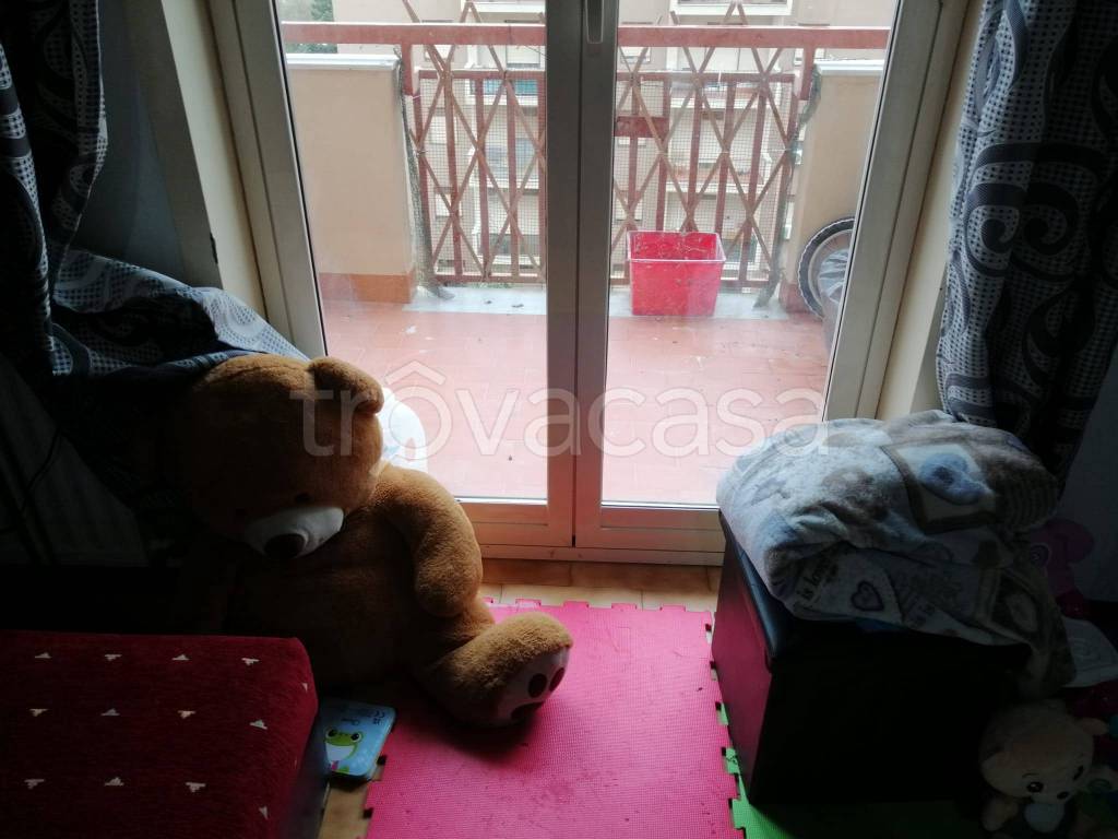 immagine annuncio 3 di 12