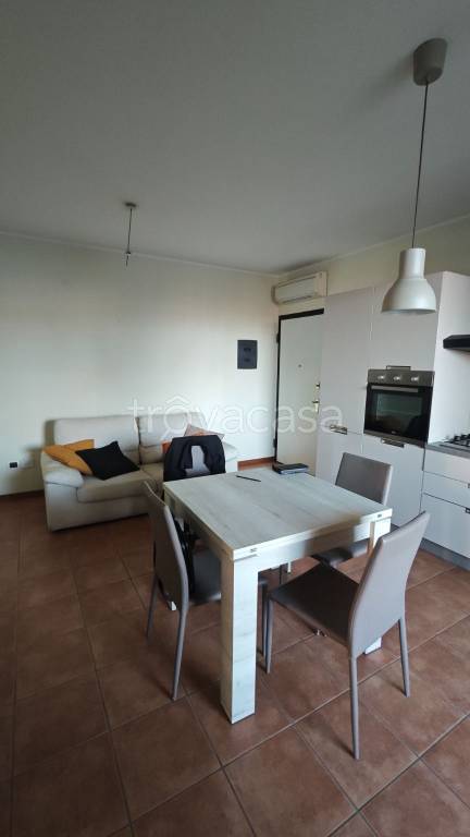 immagine annuncio 1 di 8